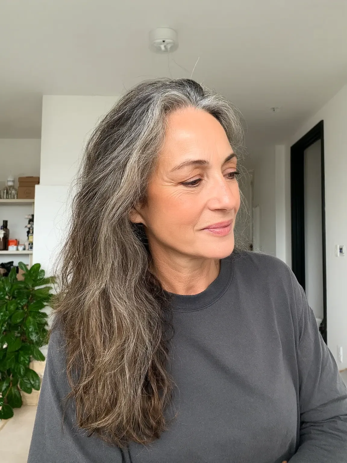 Long Natural Silver Layers with Dark Undertones